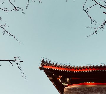 murphy-li-19qdWEAfako-unsplash آینده صنعت پتروشیمی چین