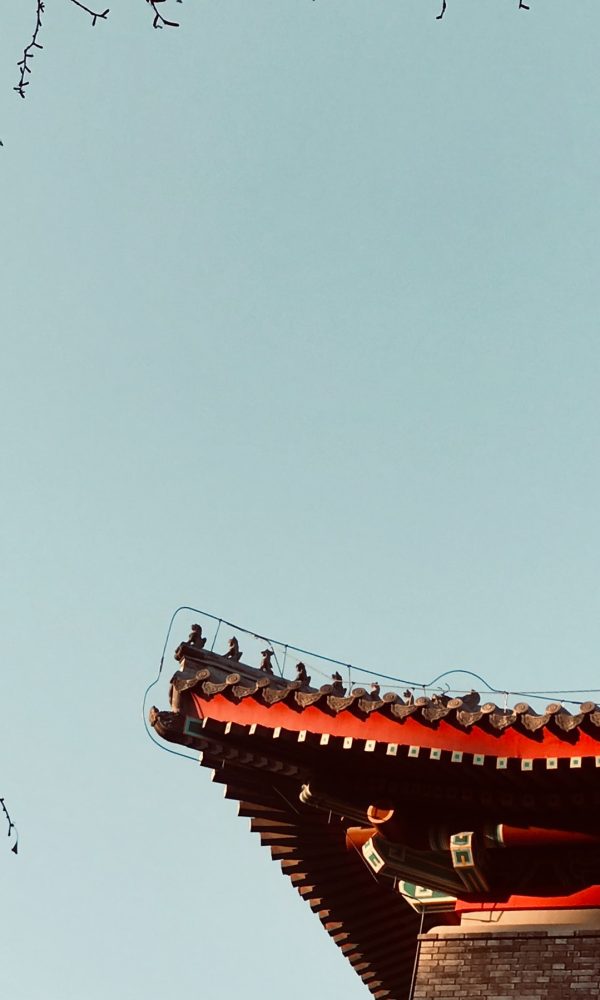 آینده صنعت پتروشیمی چین